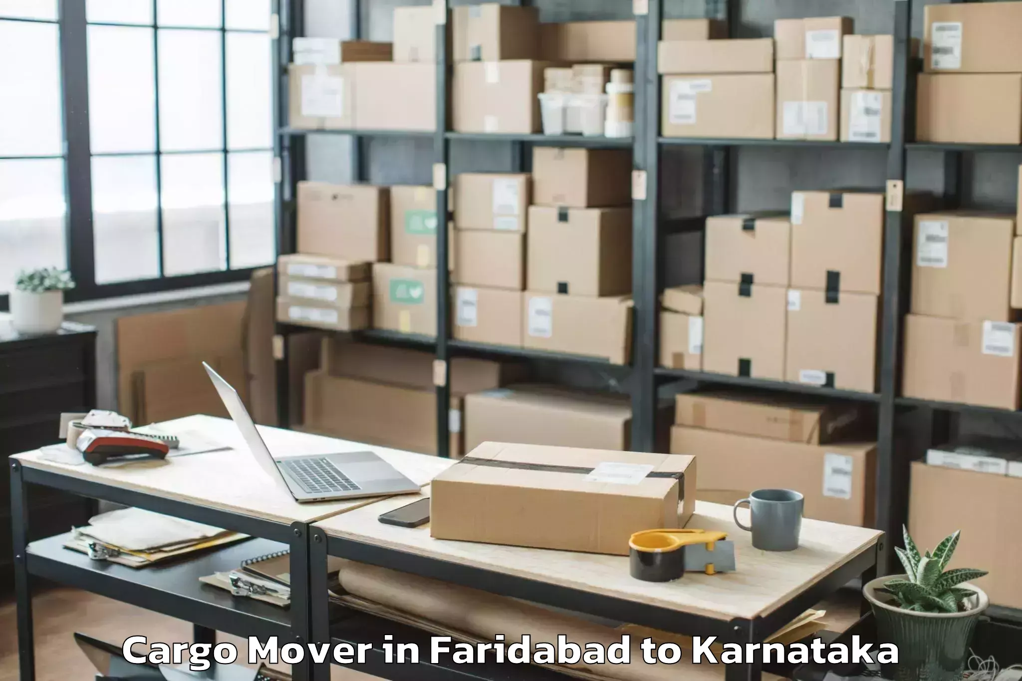 Professional Faridabad to Mudgere Cargo Mover